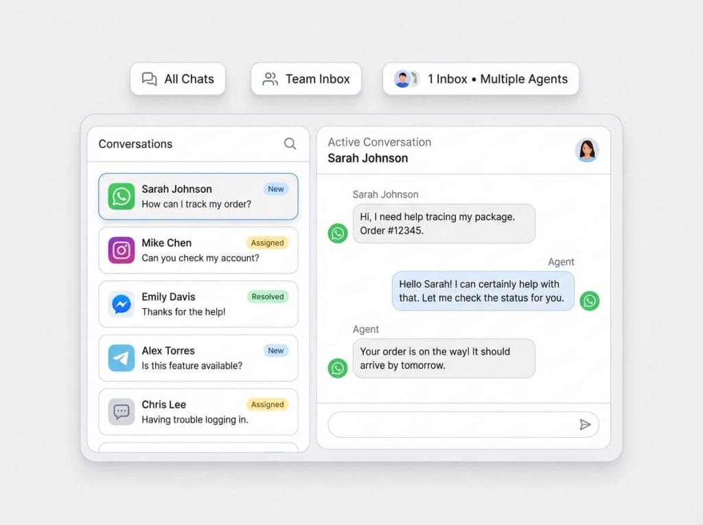 DMLY Chat Interface